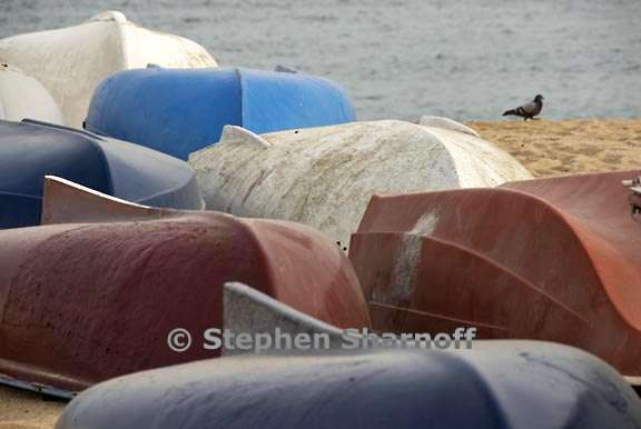 caella boats graphic